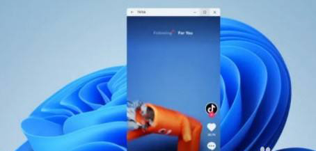 Win11ôװAPP Win11װAPP̳