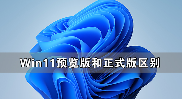 Win11Ԥʽʲô