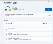 Win11װʾװ0x800f0989ô죿