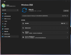 ΢Win11 22000.132԰ֵøWin11 22000.132汾ô