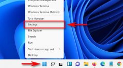 ôWindows11ϸĴ⣿