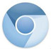 Chromium V95.0.4607 