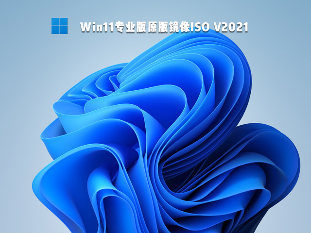 Win11ҵרҵʲôĸã