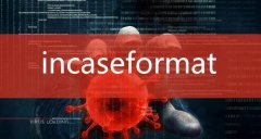 IncaseformatʲôIncaseformatݻָ̳
