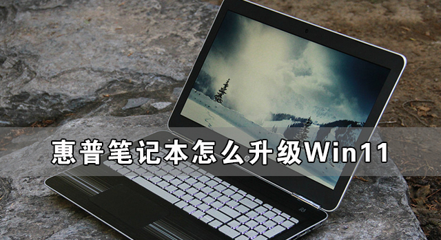 ձʼǱôWin11 ձʼǱWin11ϸ̳