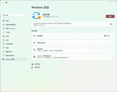 Win11KB5005190ʱװʾ-0x80070246ô죿