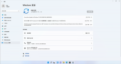 ΢Cumulative Update for Windows11 (10.0.22000.160) KB5005189(־)