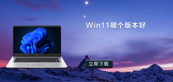 Win11ĸ汾_Win11װĸ汾_