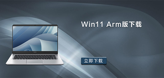 Win11 arm