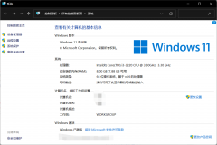 ΢Win11 Dev(10.0.22000.271)漴٣