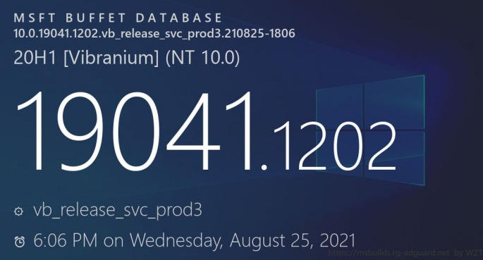 Windows 10 21H1/20H2/20H1ѡKB5005101