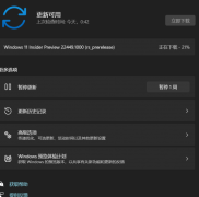 ΢Win11 22449.1000ˣ(־صַ)