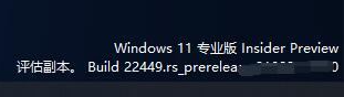 Win11 22449ô ˮӡô