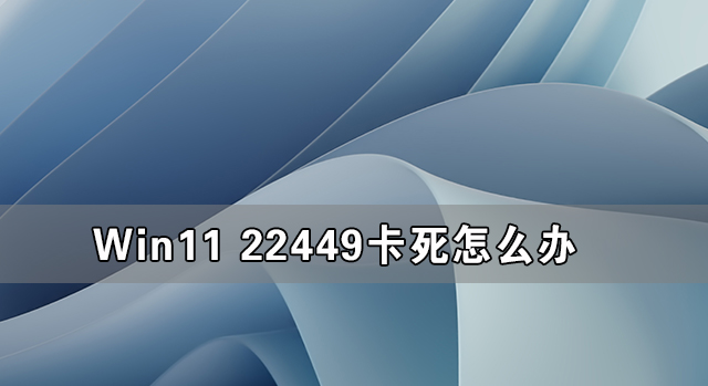 Win11 22449ô Win11 22449Ľ