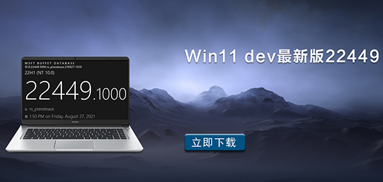Win11 dev°22449