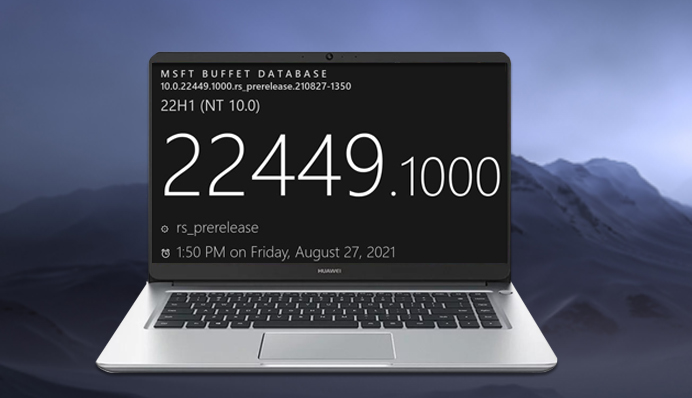 ΪʲôûյWin11 22449.1000 ôյ22449.1000