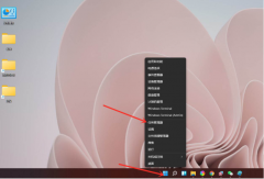 Win11Կ¶ôWin11鿴Կ¶ȷ