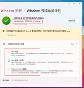 ΢Win11Ԥ10.0.22000.184Release Previewbate