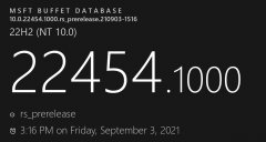 ΢Win11 22454.1000(RS_prerelease) Devصַ