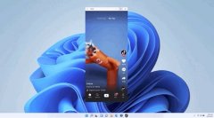 Win11ʲôʱְ֧׿Ӧã