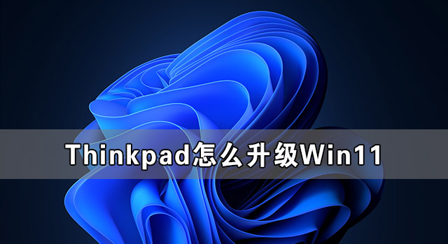ThinkpadôWin11 ThinkpadʼǱWin11ϵͳ̳