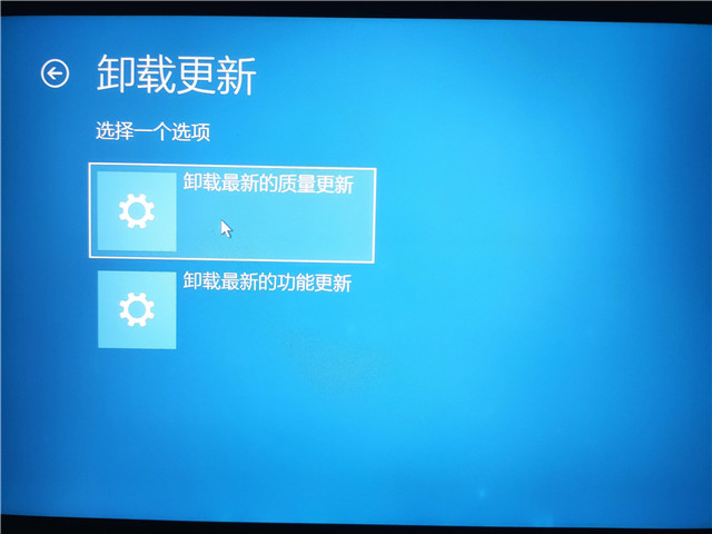 Win11 Build 22454ƫҲԳҪع