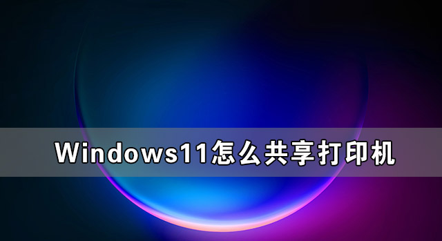 Windows11ôӡ Windows11ӡô