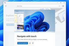 ΢TipsӦ Windows11ոʹС