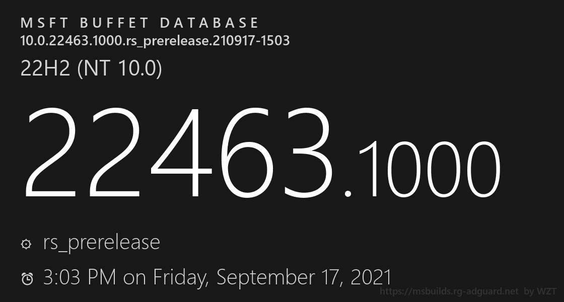 ΢Win11 22463.1000 ޸޷е