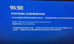 Win100xv000000eӦô