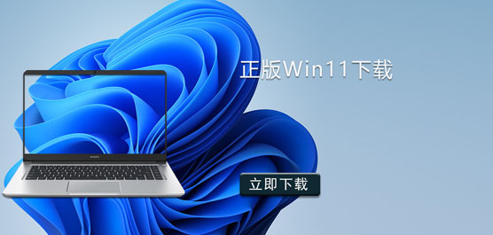 Win11