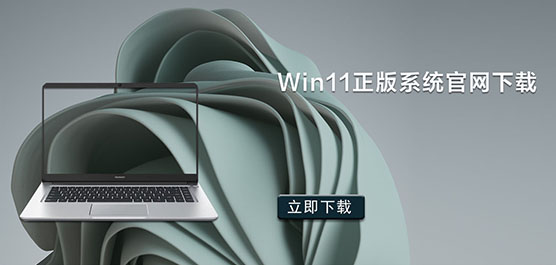 Win11ϵͳ_Win11ʽ