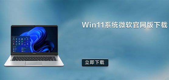 Win11ϵͳ΢