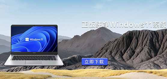 洿Windows11ϵͳ