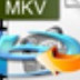 4Easysoft Blu-ray to MKV RipperMKVʽת V3.1.36 ٷ