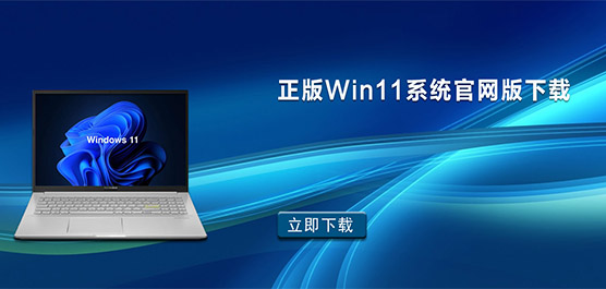 Win11ϵͳ