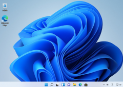 Win11Ҳô죿