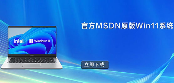 官方MSDN原版Win11系统
