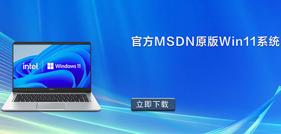 ٷMSDNԭWin11ϵͳ_Windows11ϵͳ