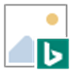 BingSnap(Bingֽ) V3.0 ٷ°