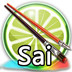 Sai滭V2.0 Ѱ