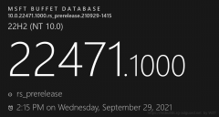 ΢Win11 Dve 22471.1000 (rs_prerelease)£()
