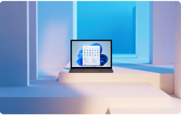 Win11ʽͿʼ ַWindows11ʽ