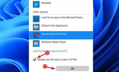 Win11θĬϴ򿪷ʽWin11Ĭϴ򿪷ʽķ