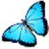 Magic Screenshot(Ļͼ) V3.1.6 ٷ