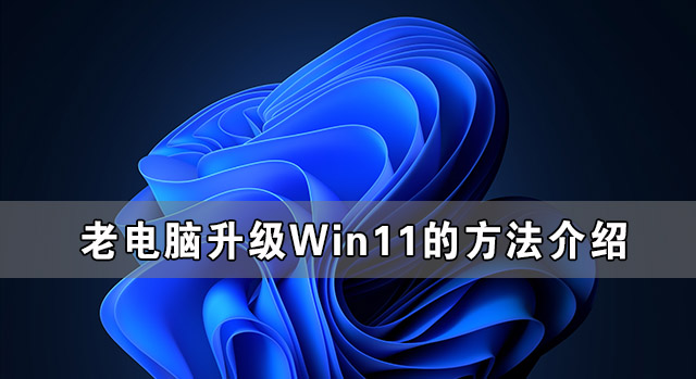 ϵ޷Win11 ϵWin11ķ