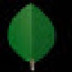 Mongodbͻ V4.0.3 ٷ