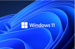 ΢ٷWindows11 PCϵͳʼ