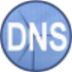 Simple DNS PlusDNSV9.0 °