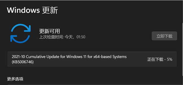 Win11ʽ油΢KB5006746OS22000.282